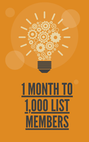 1 Month To 1,000 List Members