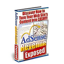 AdSense Revenue Exposed