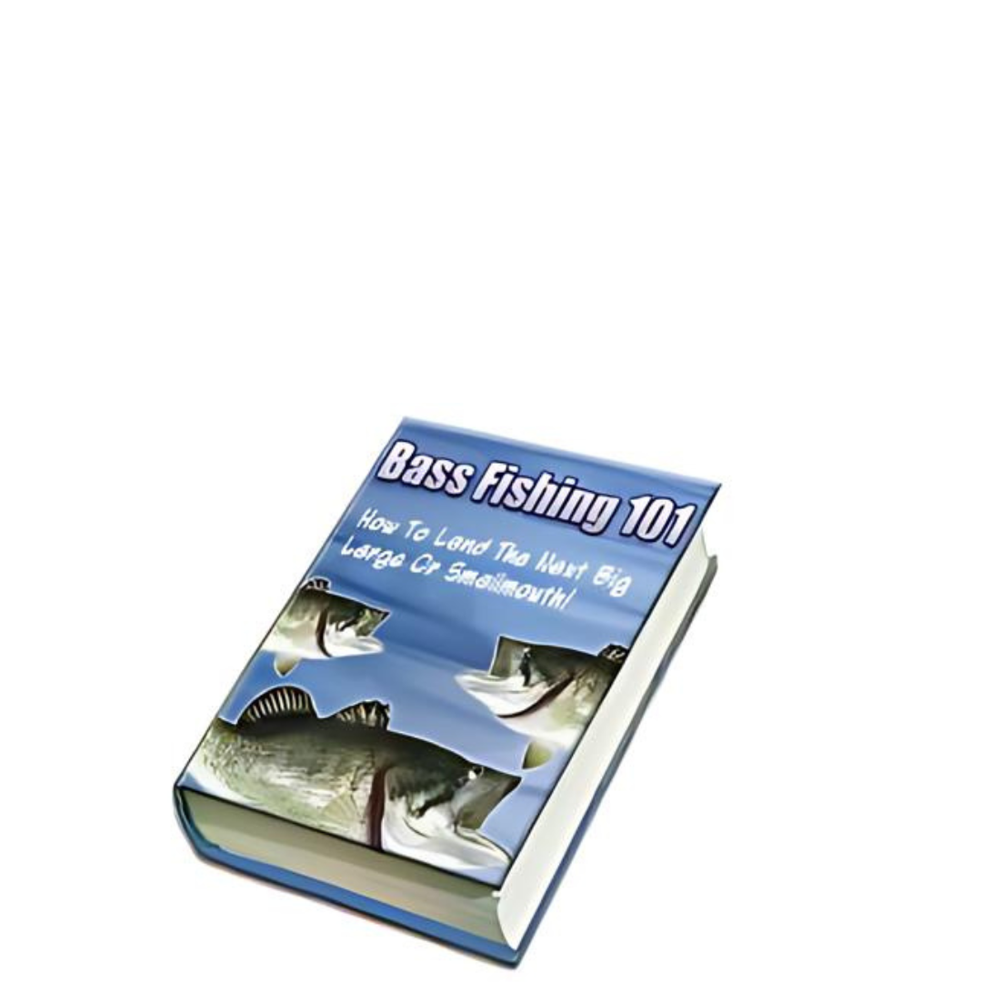 Bass Fishing 101