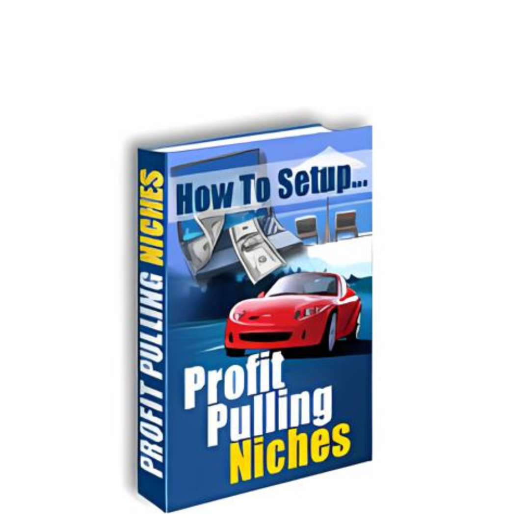 How To Setup Profit Pulling Niches