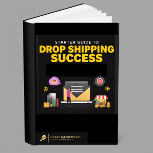 comprehensive guide to dropshipping success