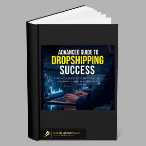 advanced guide to dropshipping success